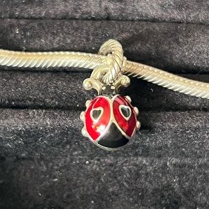 Brighton ladybug charm